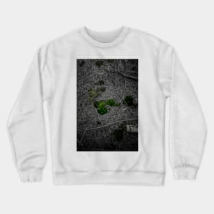 Forest Floor Colour Pop Crewneck Sweatshirt